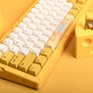 AJAZZ AC067 Cheese Gasket RGB Mechanical Keyboard